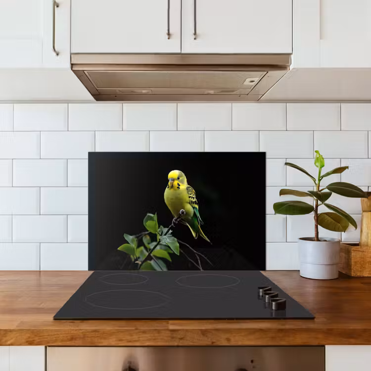 Spatscherm keuken - Parkiet - Tak - Bladeren - Geel — 6