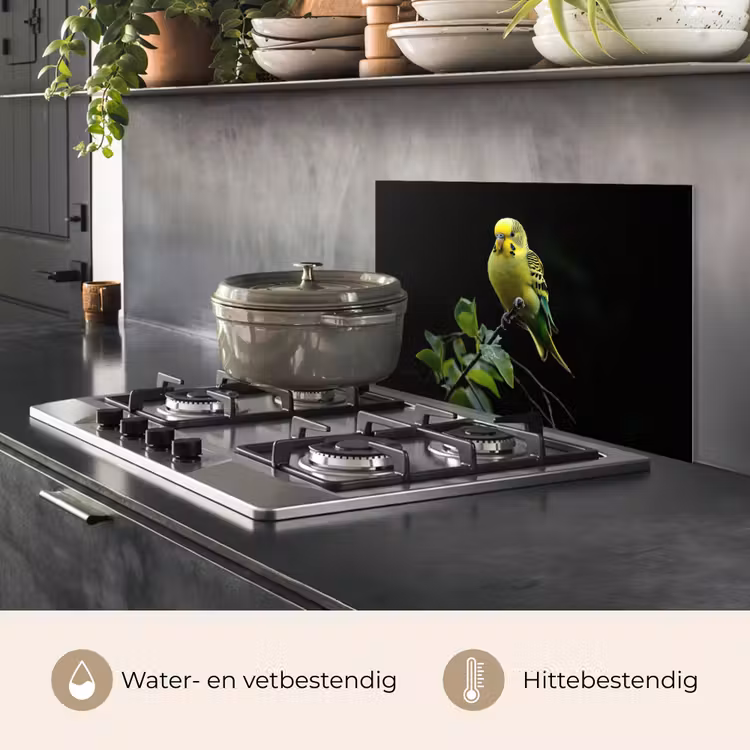 Spatscherm keuken - Parkiet - Tak - Bladeren - Geel — 7