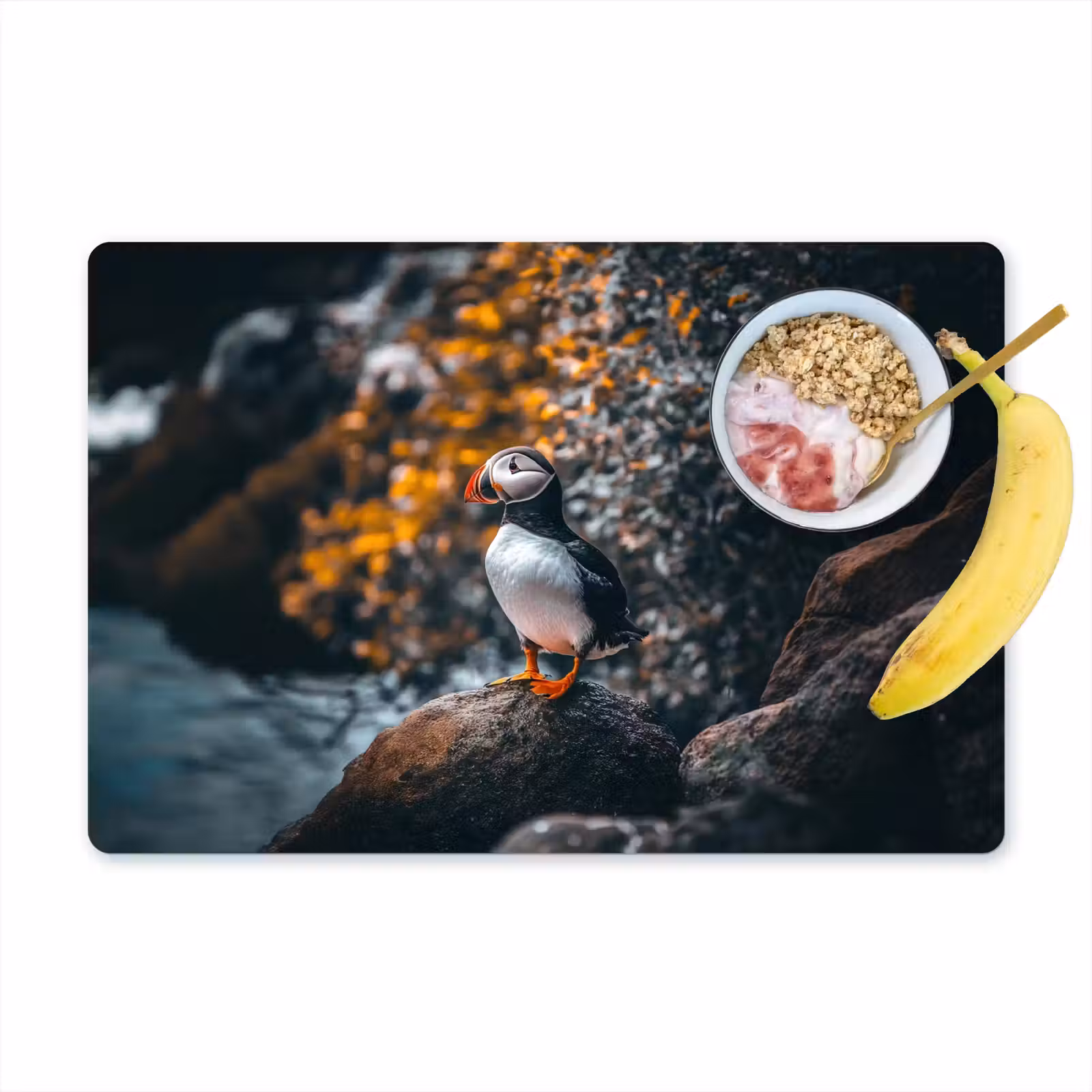 Placemat - 6 stuks - Papegaai - Vogel - Rots - Wit — 1