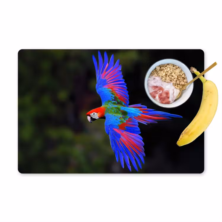 Placemat - 6 stuks - Felgekleurd - Papegaai - Bos - Vleugels — 1