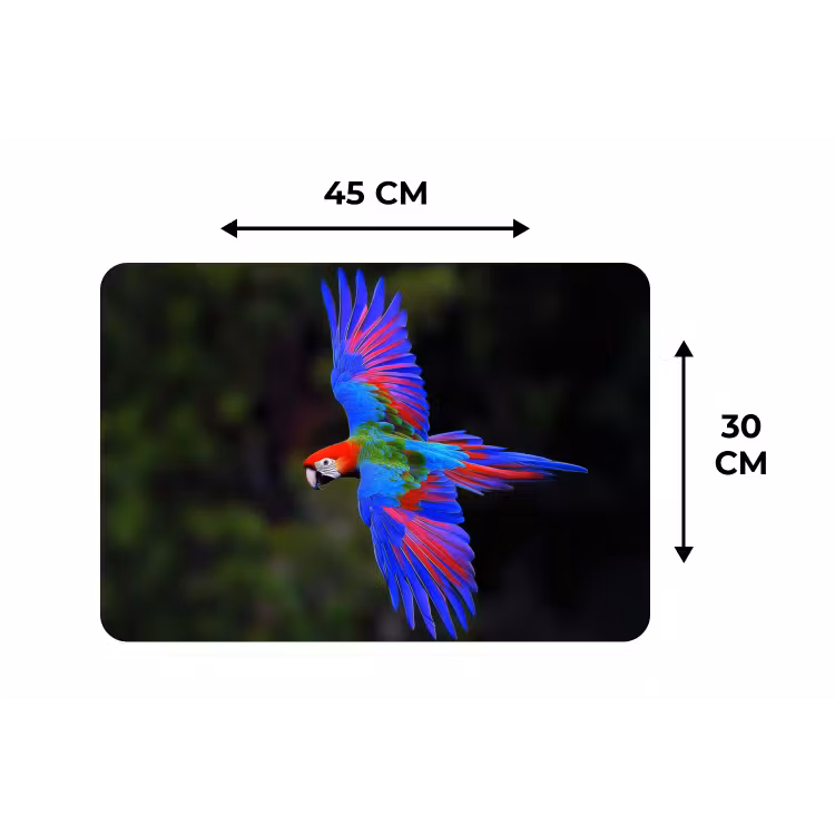 Placemat - 6 stuks - Felgekleurd - Papegaai - Bos - Vleugels — 3