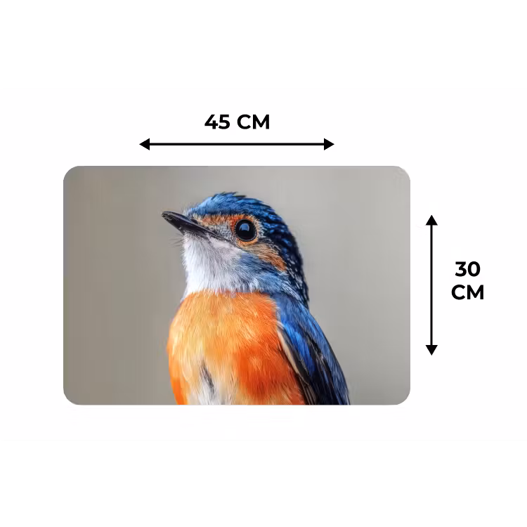 Placemat - 6 stuks - Kleurrijk - Vogeltje - Veren - Blauw — 3