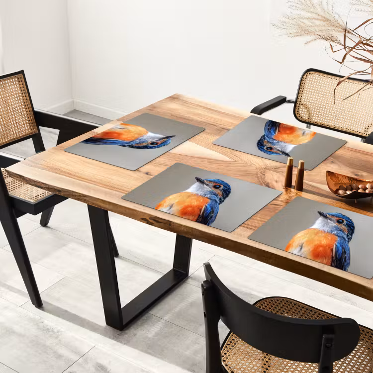 Placemat - 6 stuks - Kleurrijk - Vogeltje - Veren - Blauw — 5