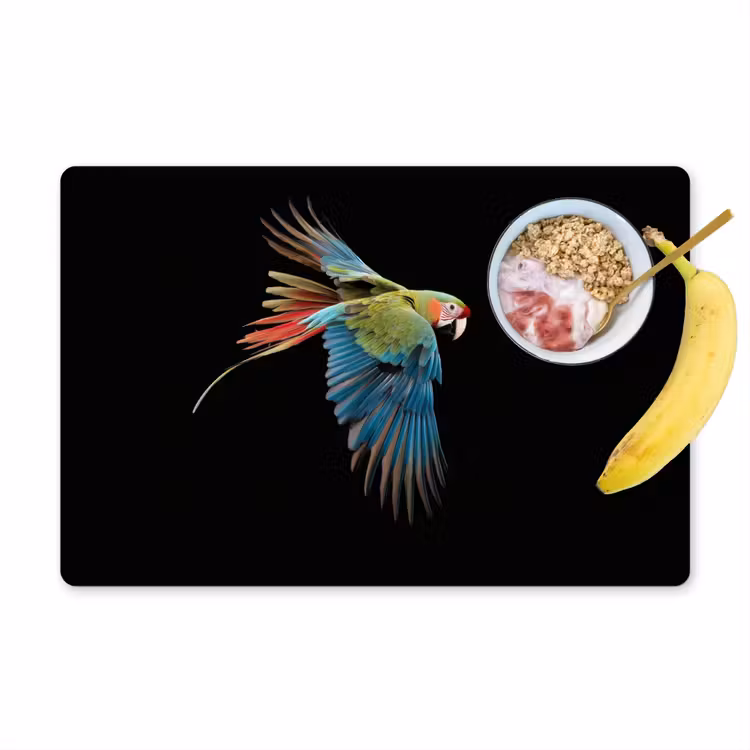 Placemat - 6 stuks - Papegaai - Kleurrijk - Vleugels - Sierlijk — 1