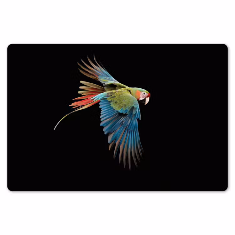 Placemat - 6 stuks - Papegaai - Kleurrijk - Vleugels - Sierlijk — 7