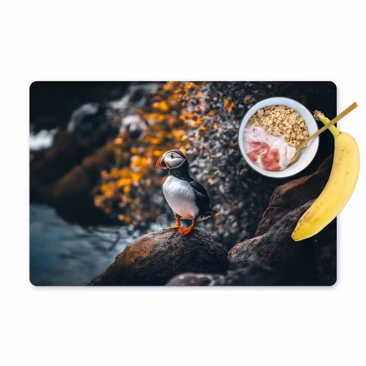 Placemat - 6 stuks - Papegaai - Vogel - Rots - Wit — 1