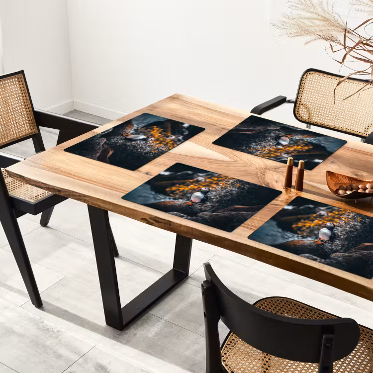 Placemat - 6 stuks - Papegaai - Vogel - Rots - Wit — 5