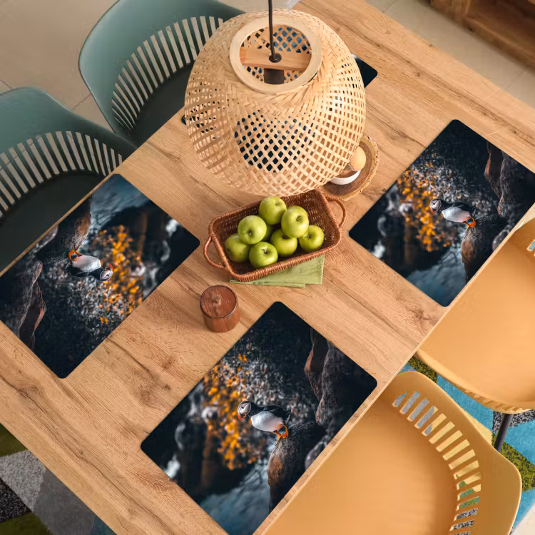 Placemat - 6 stuks - Papegaai - Vogel - Rots - Wit — 6