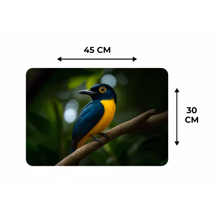 Placemat - 6 stuks - Vogel - Tak - Geel - Bladeren — 3