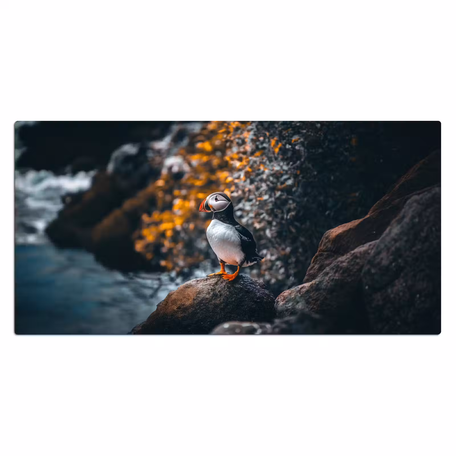 Bureau onderlegger - Papegaai - Vogel - Rots - Wit — 1