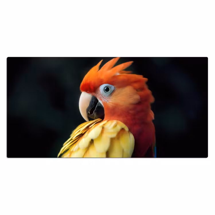 Bureau onderlegger - Close-up - Papegaai - Veren - Oranje — 1