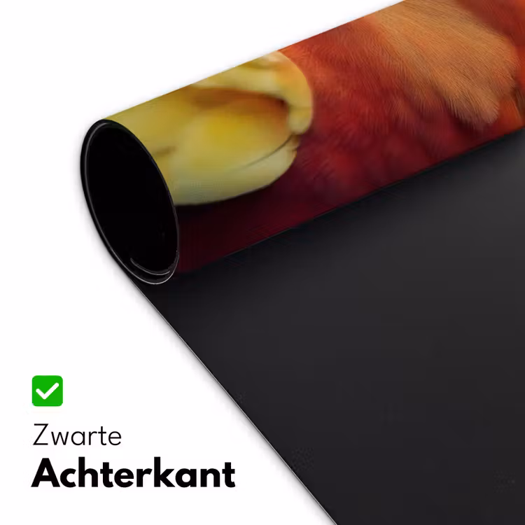 Bureau onderlegger - Close-up - Papegaai - Veren - Oranje — 4