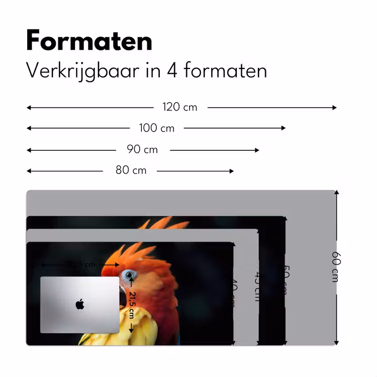 Bureau onderlegger - Close-up - Papegaai - Veren - Oranje — 7