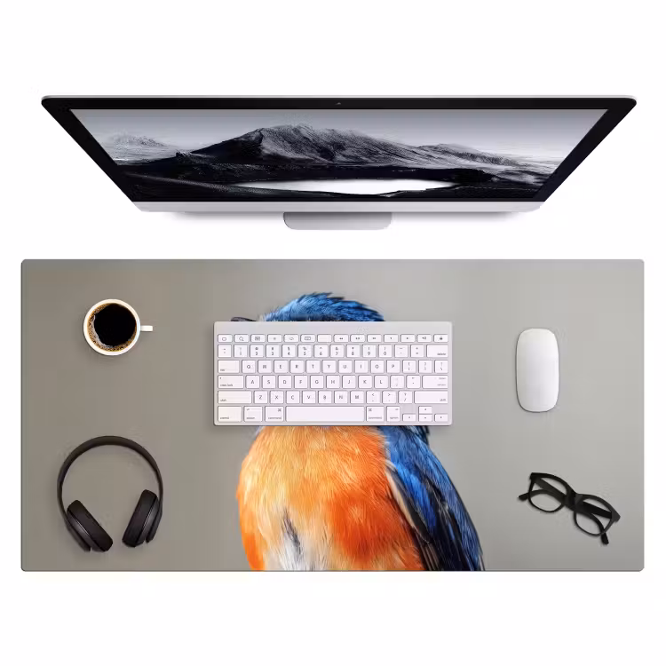 Bureau onderlegger - Kleurrijk - Vogeltje - Veren - Blauw — 3