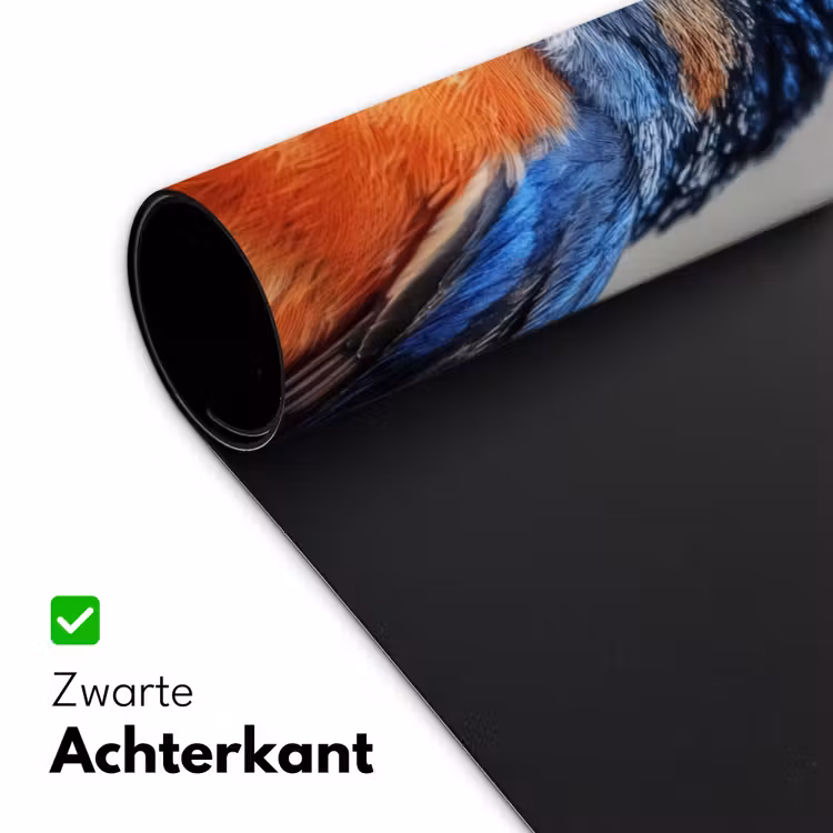 Bureau onderlegger - Kleurrijk - Vogeltje - Veren - Blauw — 4