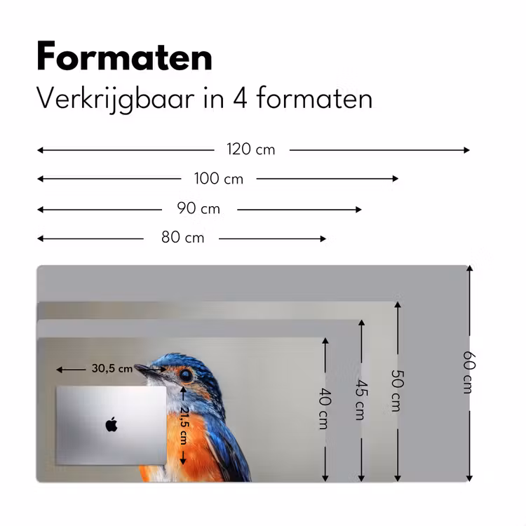 Bureau onderlegger - Kleurrijk - Vogeltje - Veren - Blauw — 7
