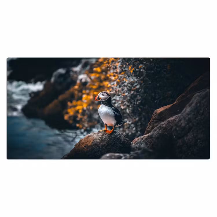 Bureau onderlegger - Papegaai - Vogel - Rots - Wit — 1
