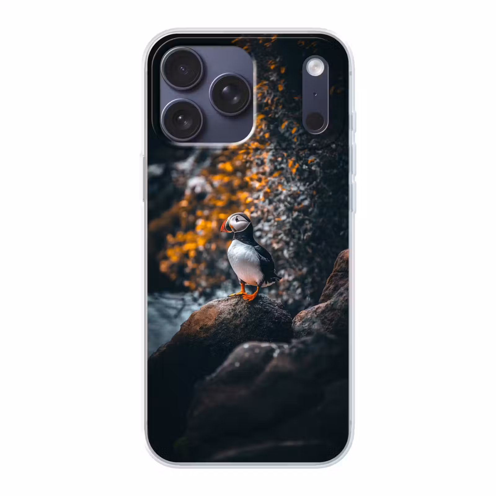Telefoonhoesje Softcase - Papegaai - Vogel - Rots - Wit — 1
