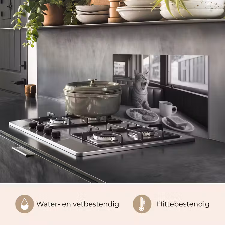 Spatscherm keuken - Kat - Koffie - Brood - Zwart — 7