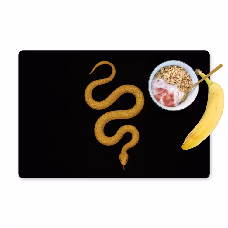 Placemat - 6 stuks - Slang - Minimalistisch - Goud — 1