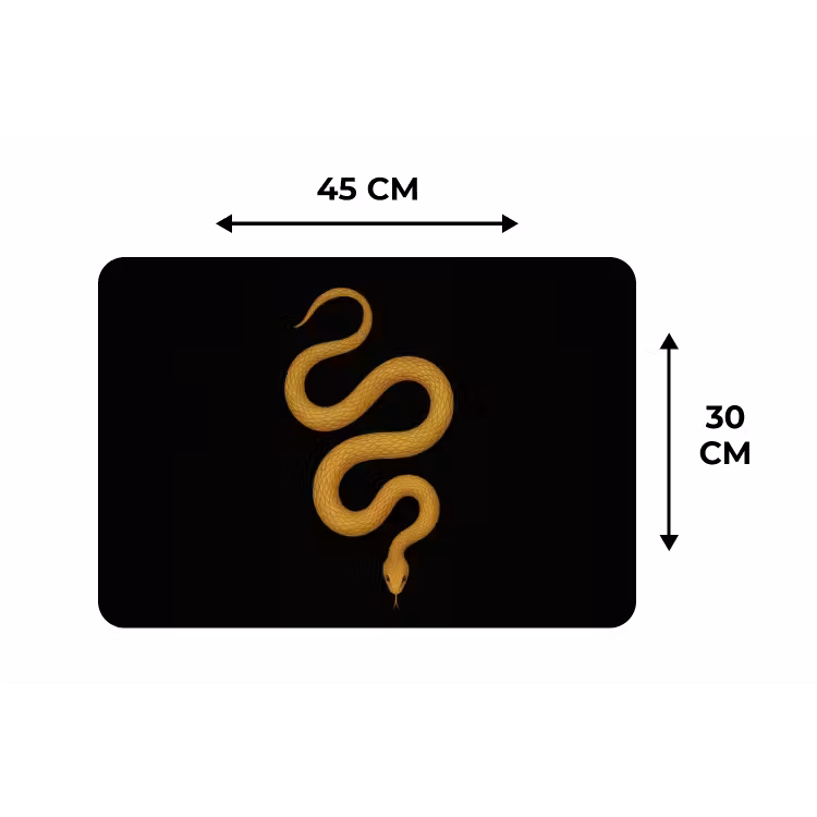 Placemat - 6 stuks - Slang - Minimalistisch - Goud — 3