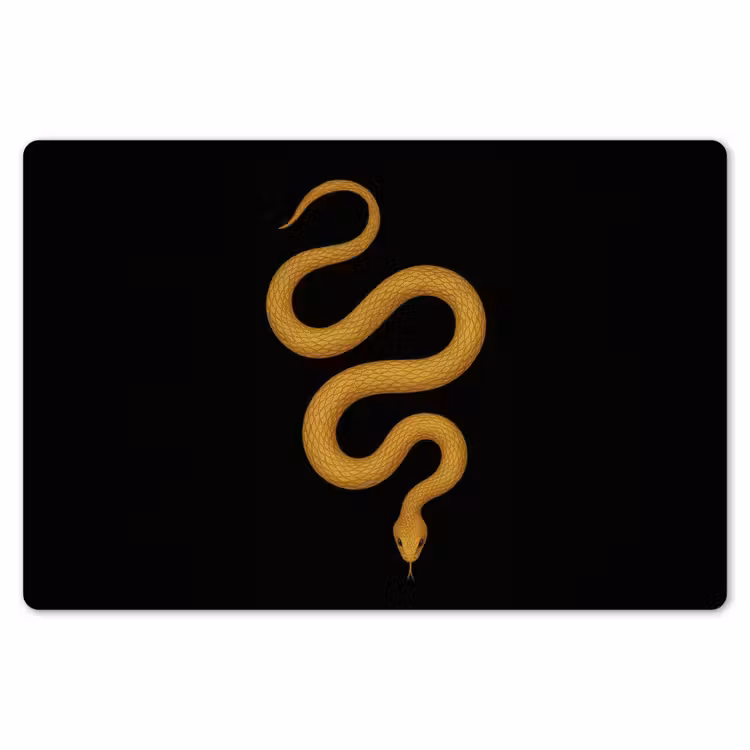 Placemat - 6 stuks - Slang - Minimalistisch - Goud — 7