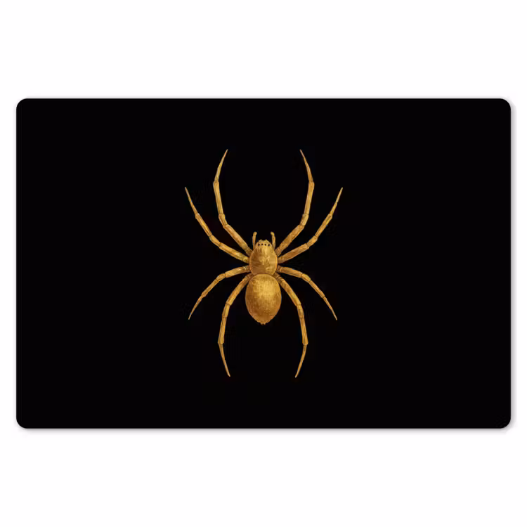 Placemat - 6 stuks - Spin - Goud - Minimalistisch - Poten — 7