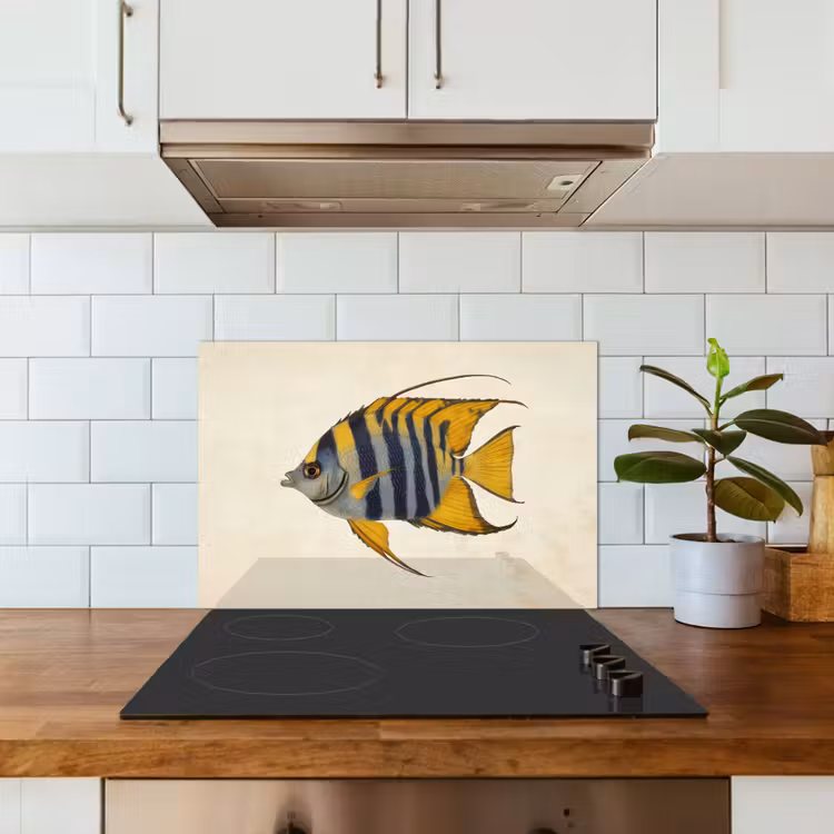 Spatscherm keuken - Vis - Sierlijk - Vinnen - Illustratie — 6
