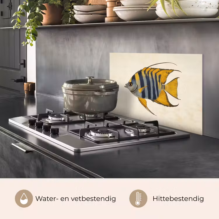 Spatscherm keuken - Vis - Sierlijk - Vinnen - Illustratie — 7