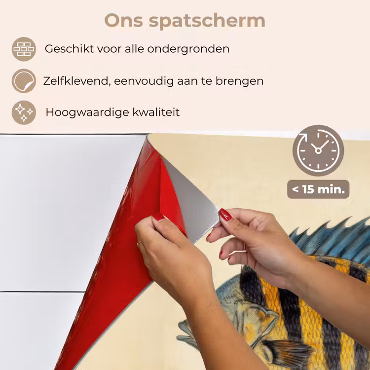 Spatscherm keuken - Vis - Tropisch - Strepen - Vinnen — 4