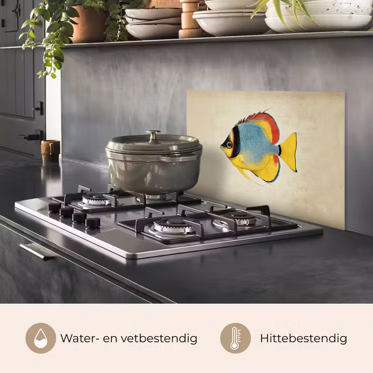 Spatscherm keuken - Kleurrijk - Vis - Schubben - Illustratie — 7