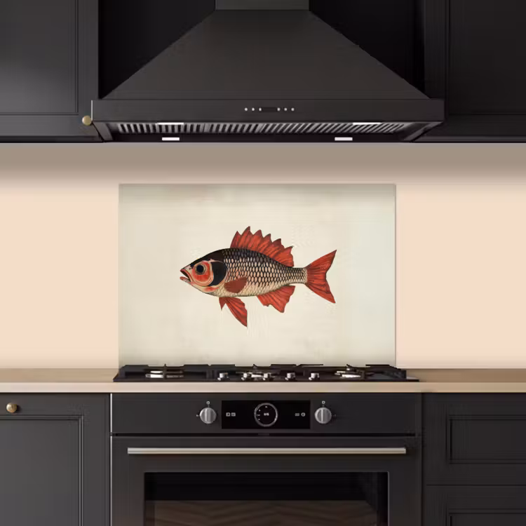 Spatscherm keuken - Schubben - Rood - Vis - Vinnen — 2
