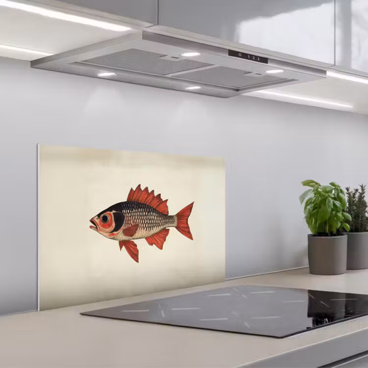 Spatscherm keuken - Schubben - Rood - Vis - Vinnen — 5
