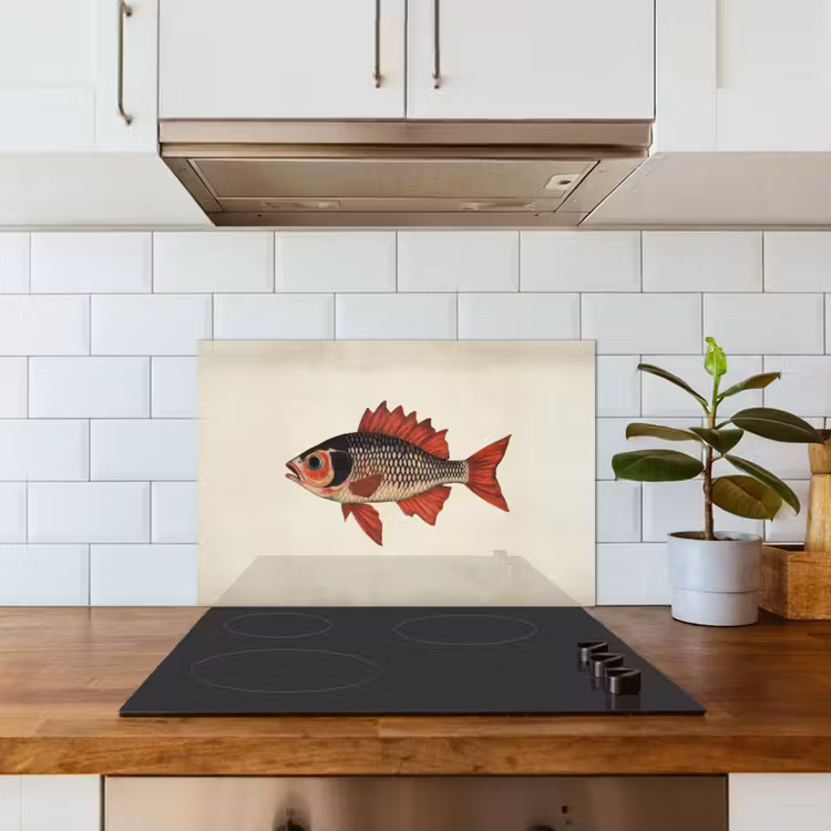 Spatscherm keuken - Schubben - Rood - Vis - Vinnen — 6