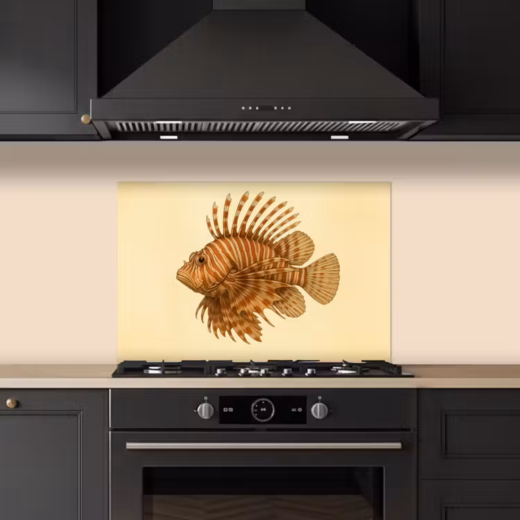 Spatscherm keuken - Strepen - Vis - Rond - Stekels — 2