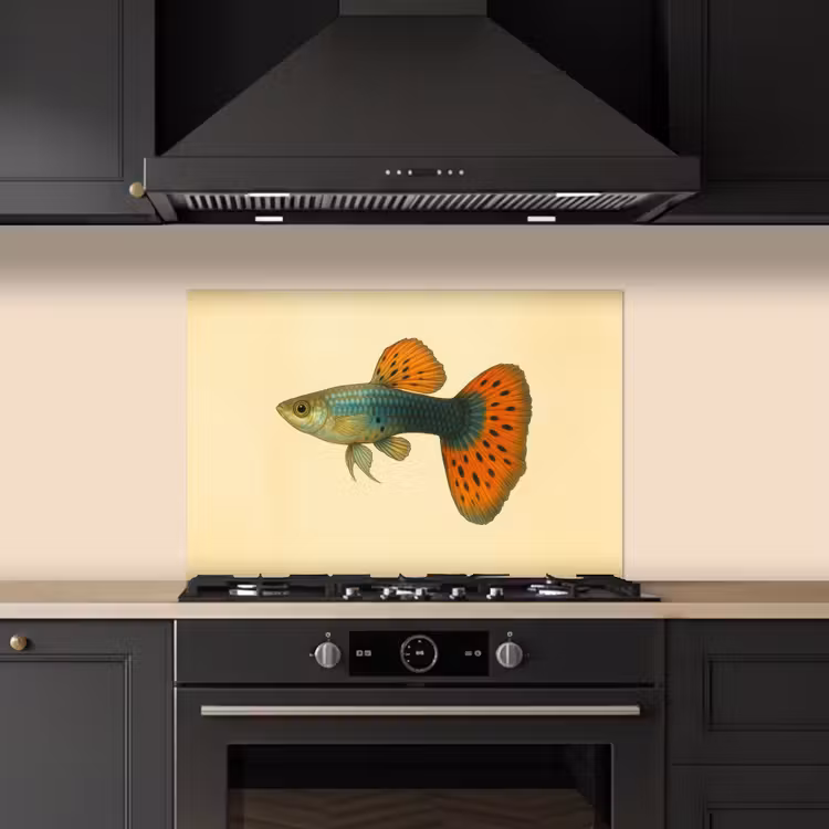 Spatscherm keuken - Vis - illustratie - Stippen - Oranje — 2