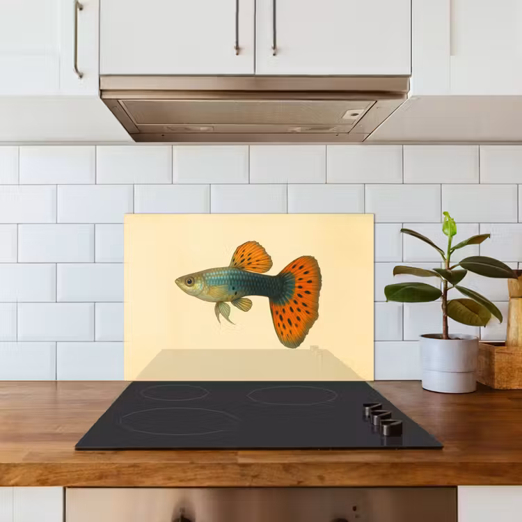 Spatscherm keuken - Vis - illustratie - Stippen - Oranje — 6