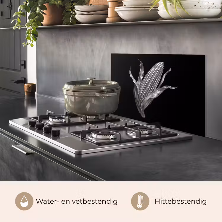 Spatscherm keuken - Maïskolf - Glanzend metaal - Elegant — 7