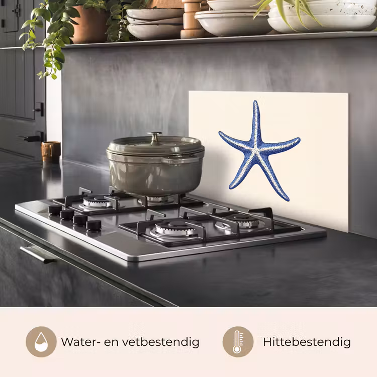 Spatscherm keuken - Blauwe zeester - Minimalistisch - Beige — 7