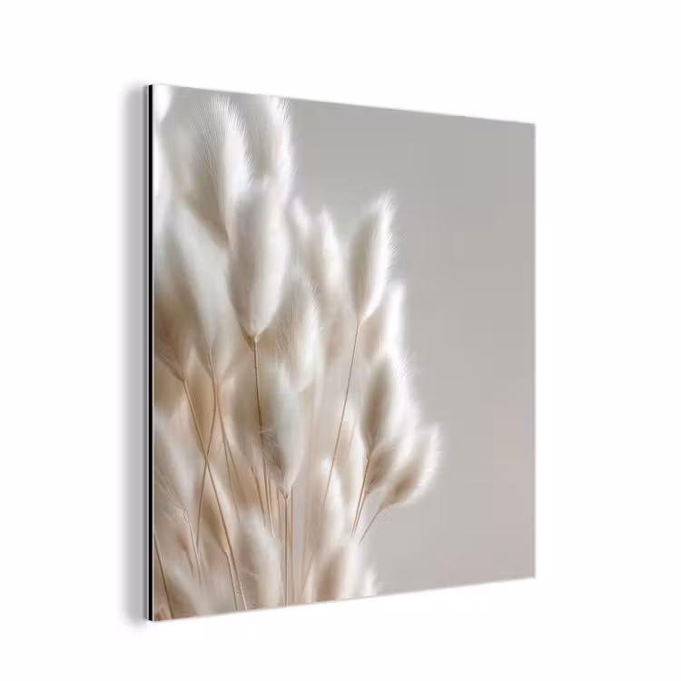 Aluminium schilderij - Droogbloemen Hazenstaartgras Beige