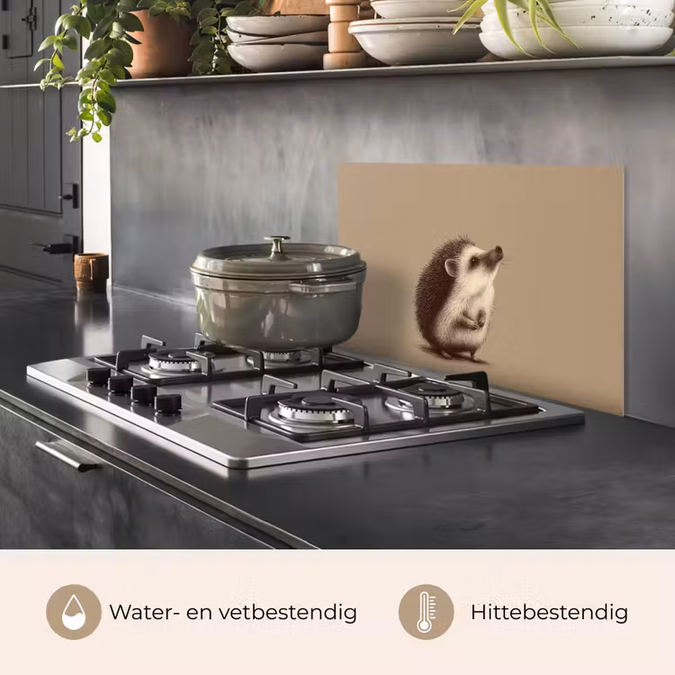 Spatscherm keuken - Egel - Snuitje - Bruin - Stekels — 6