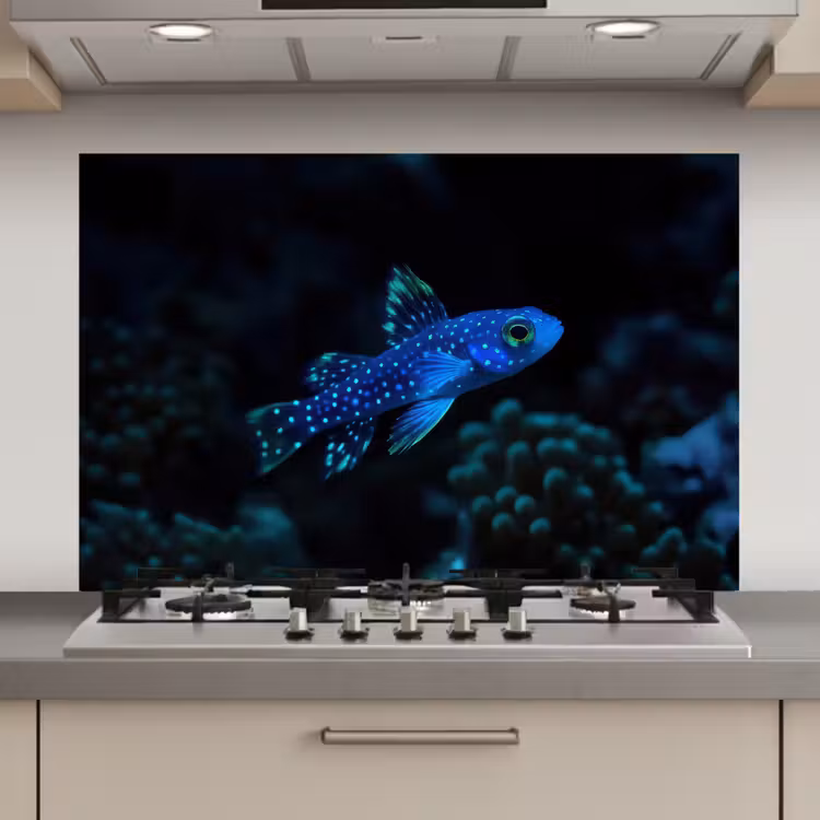 Spatscherm keuken - Vis - Stippen - Koraal - Blauw — 1