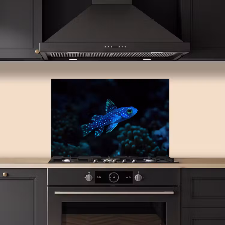 Spatscherm keuken - Vis - Stippen - Koraal - Blauw — 2