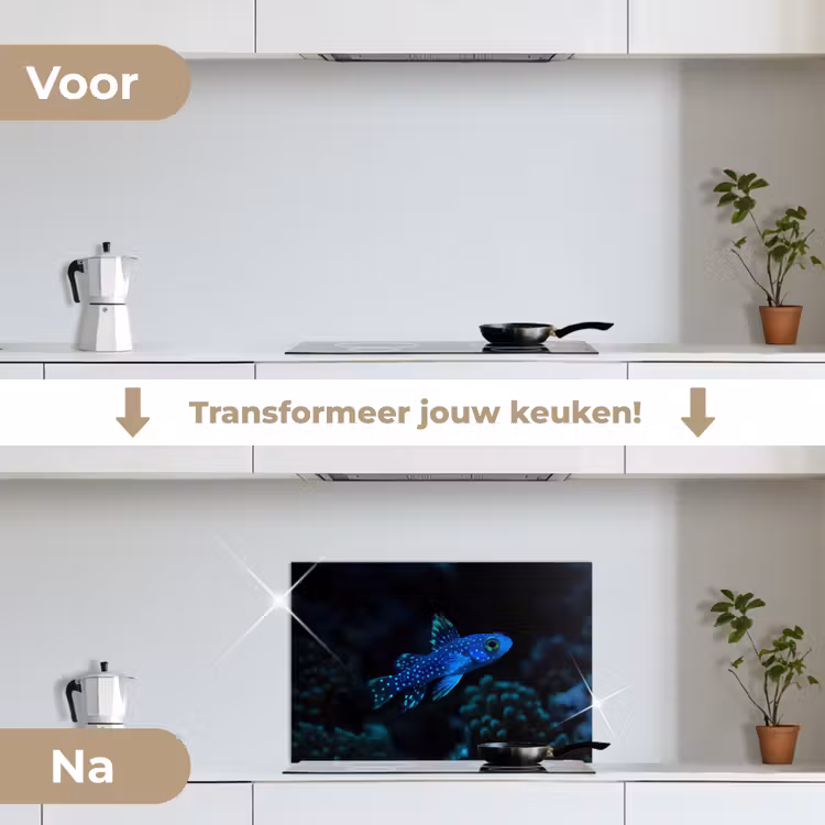 Spatscherm keuken - Vis - Stippen - Koraal - Blauw — 3