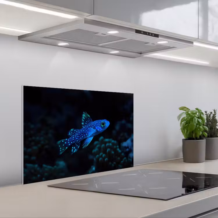 Spatscherm keuken - Vis - Stippen - Koraal - Blauw — 5