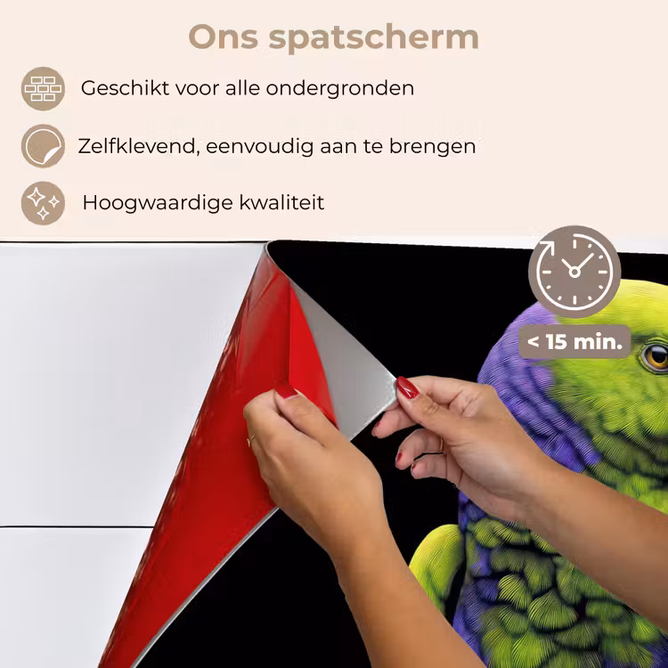 Spatscherm keuken - Papegaai - Veren - Opvallend - Groen — 4