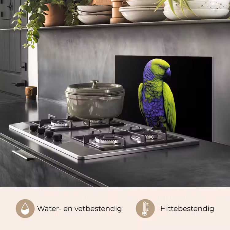 Spatscherm keuken - Papegaai - Veren - Opvallend - Groen — 7