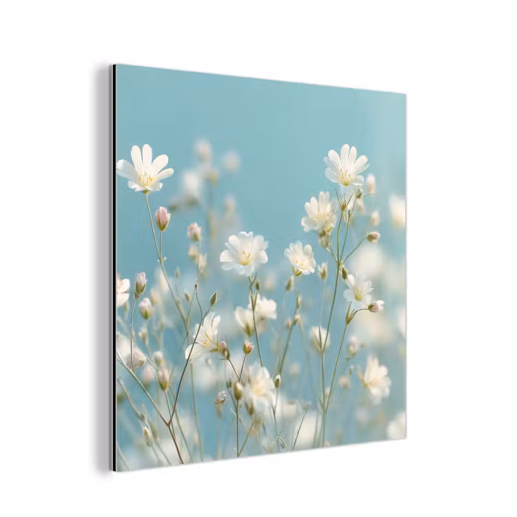 Aluminium schilderij - Stängel – Blumen – Luft – Weiß — 1
