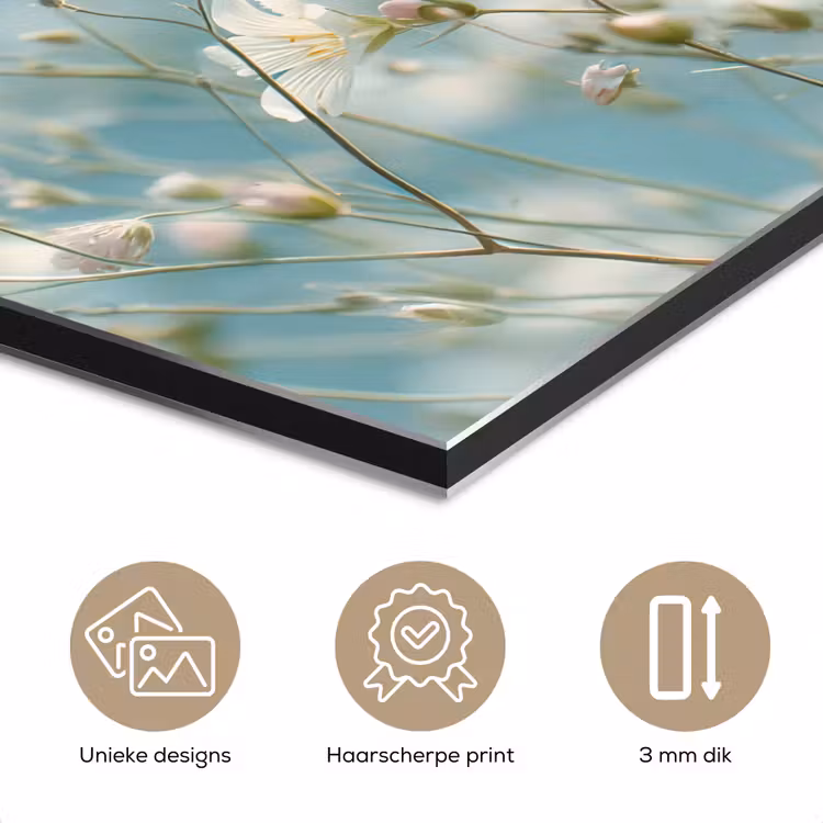 Aluminium schilderij - Stängel – Blumen – Luft – Weiß — 7