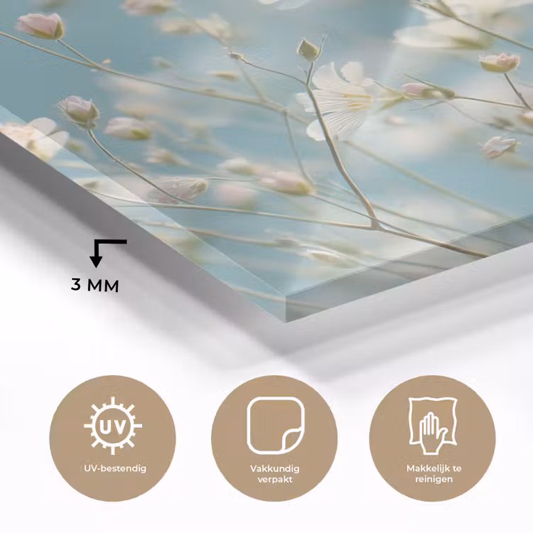Glas schilderij - Stengels - Bloemen - Lucht - Wit — 3